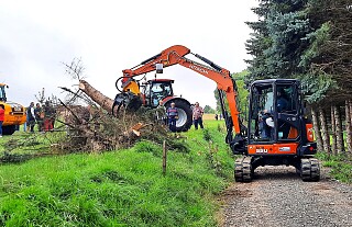 08_vis_bautechnik_bagger_faellgreifer.jpg