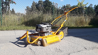 vis_bautechnik_wildkraut_hexe_1.jpg