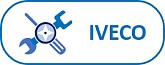 vis_service_iveco.jpg