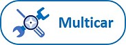 vis_service_multicar.jpg